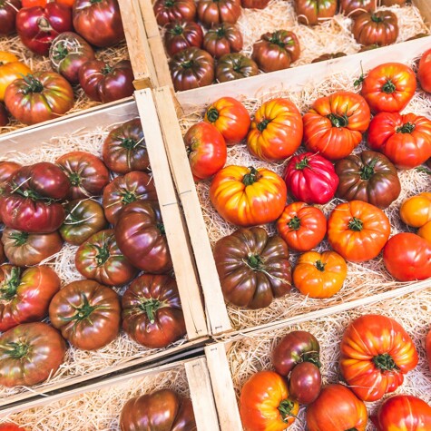 Tomaten van bij CRU.