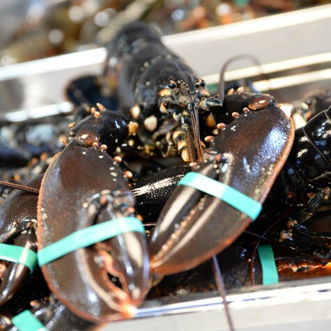 Oosterscheldekreeft, verkrijgbaar bij versmarkt Cru.