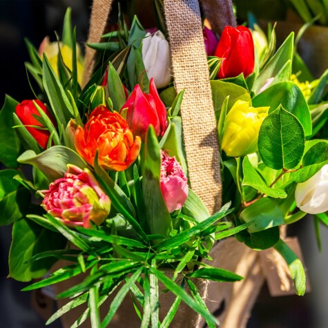 Tulpen van bij CRU.