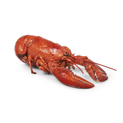 Homard canadien 700/800 cuit