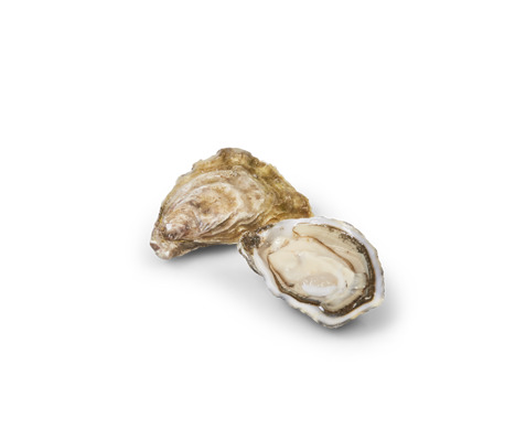 Cuvée Prestige oester Oléronnaise M3