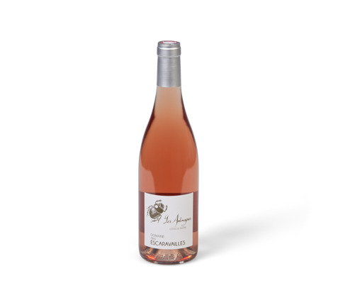 Antimagnes rosé