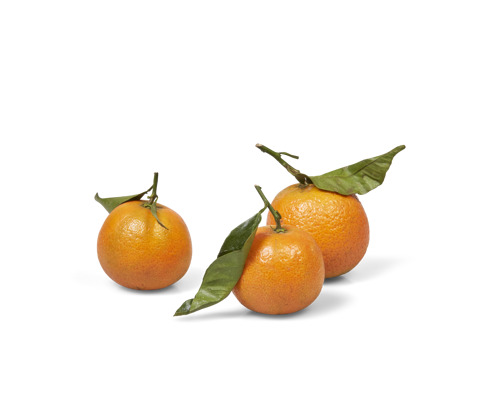 Clementines